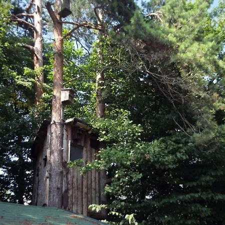 Apartmaji Ruj *